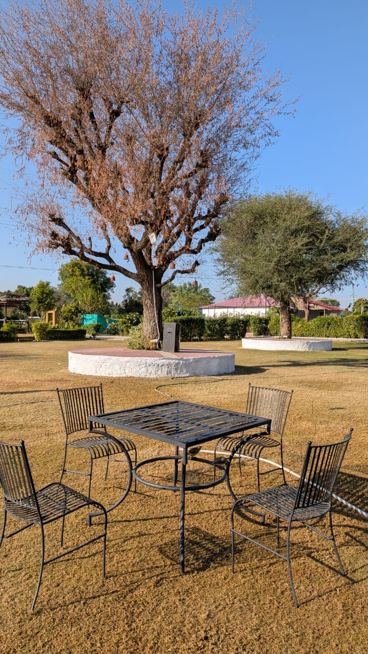 Candle Light Dinner Setup